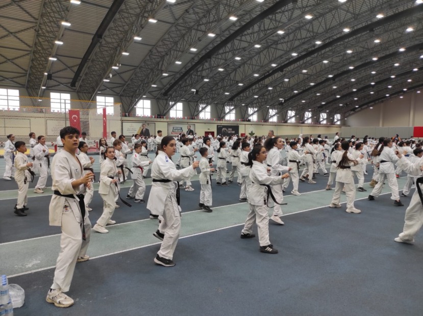 Osmangazi’de karate eğitim semineri