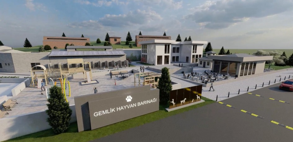 Gemlik Belediyesi Patili Dostlara Sahip Çıkıyor