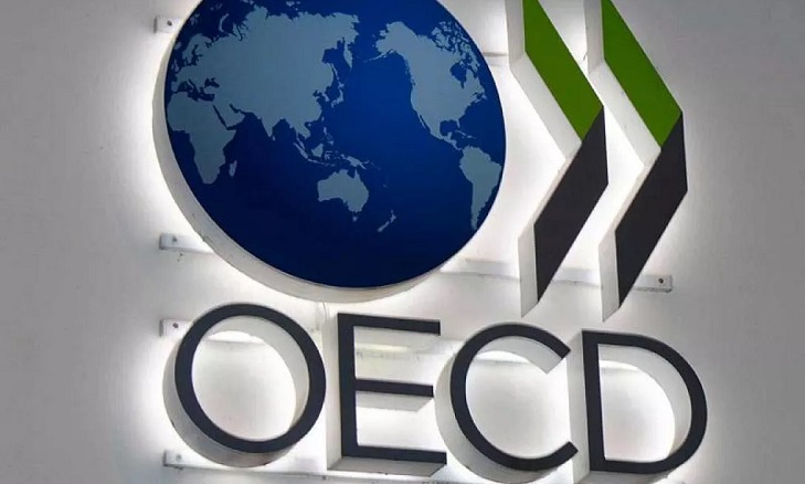 OECD: “How’s Life Türkiye?” 2024 “Hayat Nasıl Gidiyor ?’’ (I)